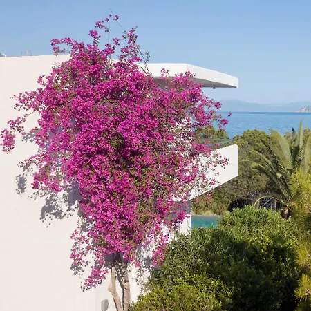 Villa On The Rocks