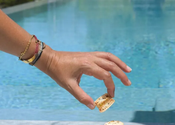 On The Rocks * Koilás